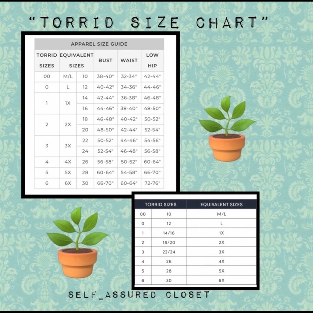 Torrid Top - Picture 6 of 6